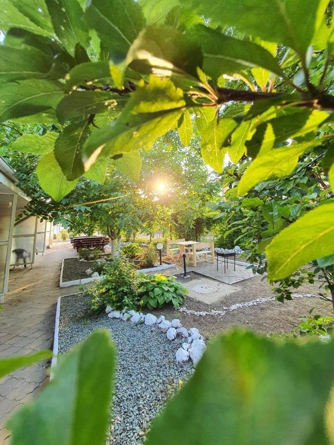 Hotel Decebal إيفوري نورد المظهر الخارجي الصورة